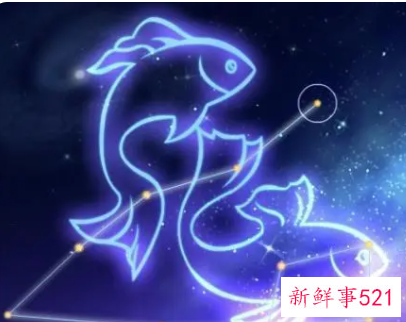 双鱼座什么最好