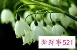 这几个星座女性格倔强天生高傲难伺候