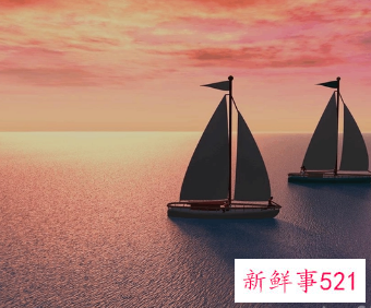 师范教师大学生职业生涯规划范文