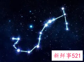 天蝎女很难追吗