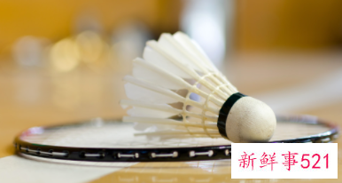 羽毛球场地的标准规格和基础知识