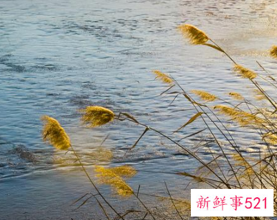 惹女朋友生气了要怎么挽回