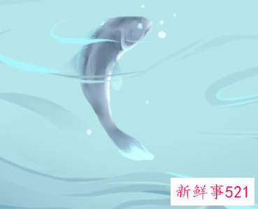 孕妇梦见捉到鱼是什么意思