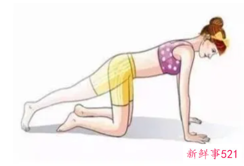 产后腹直肌的训练方法