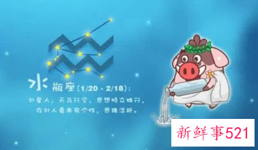 当水瓶座遇上总是教不会的职场新人