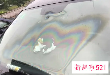 洗洁精去油膜好用吗