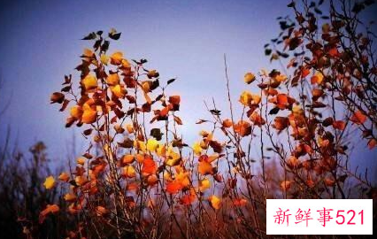 深夜正能量朋友圈短句