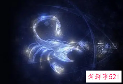 爱天蝎的星座