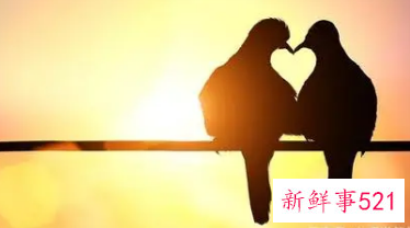 处对象怎么培养感情