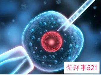 人工受精后有哪些反应