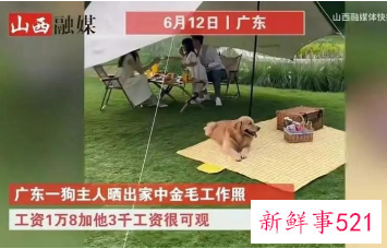 中国一人户家庭已超1.25亿户,宠物饲养热度攀升