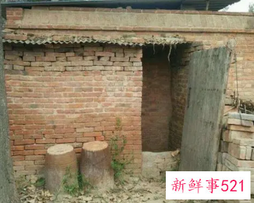 梦见作呕的粪池