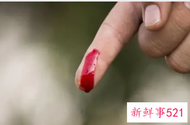 梦见杀人见血有什么征兆