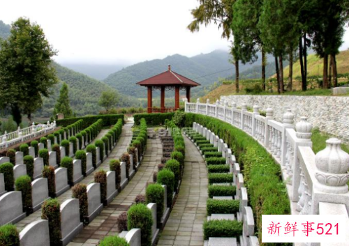 梦见在陵园走代表什么