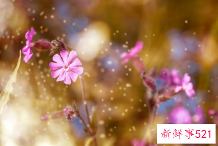 感人到哭的演讲稿