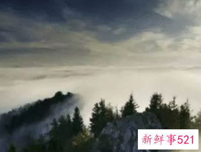 领导明示暗示你走人