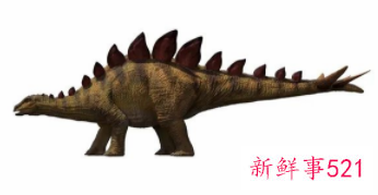 剑龙中国起源说添再新证据：重庆出土最古老的剑龙化石