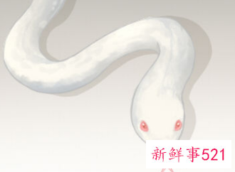 男人梦见蛇好吗