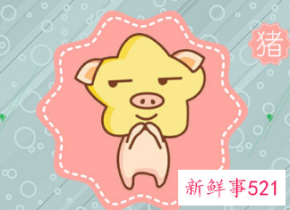 属猪男只想玩玩的表现