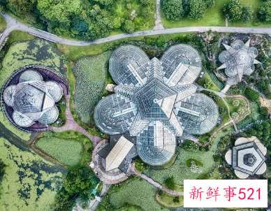 华南国家植物园揭牌成立,物种保育2万种以上