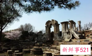 圆明园的毁灭读后感450字