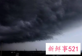 梦见暴雨地震是什么意思