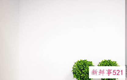 墙面油污怎么清理变白