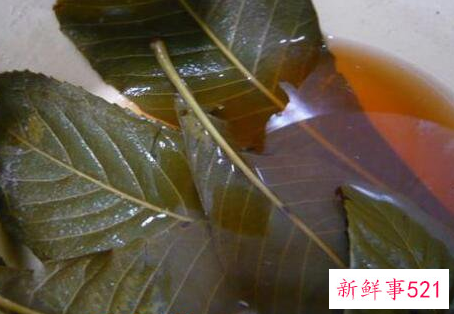 枇杷叶和姜煮水的功效与作用