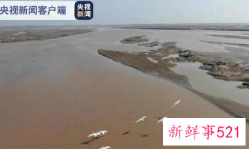 河南赌赢山东获1.26亿生态补偿资金