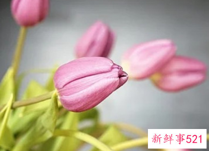 抖音怎么拍长视频5分钟