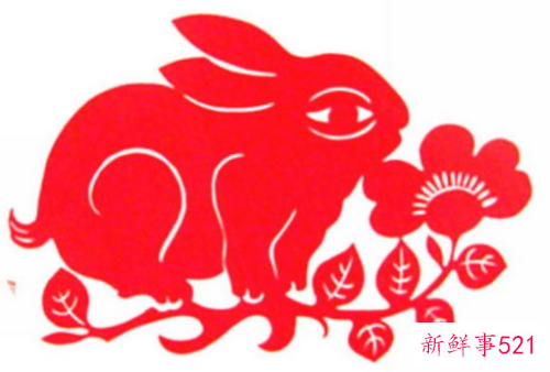 最有实力成功的属相