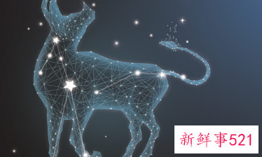 金牛女外貌身材