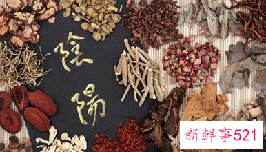 海龟板胶的功效与作用