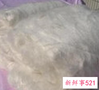 富安娜桑蚕丝被的好处