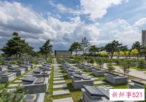 梦见在陵园走代表什么