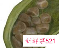 长期不吃早餐对身体会造成哪些伤害