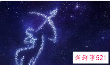 射手女与什么星座是最配呢