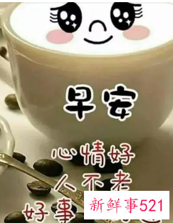 早安温馨暖心问候语