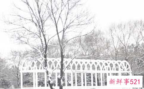 冬季干性皮肤如何保养