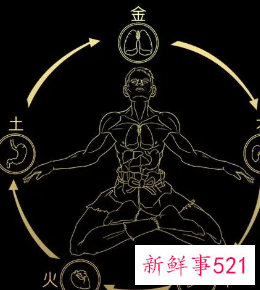 金木水火土和人体关系