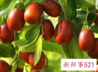 哪些水果最有营养价值