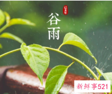 谷雨节的说说