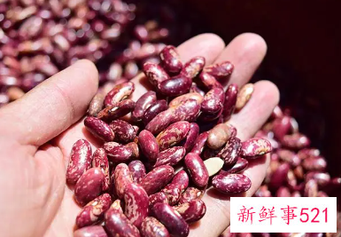 红花菜豆的功效与作用