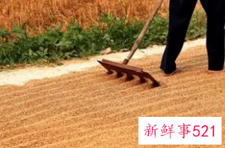 梦见在干活什么意思