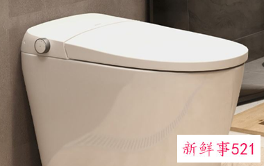智能马桶有什么缺点