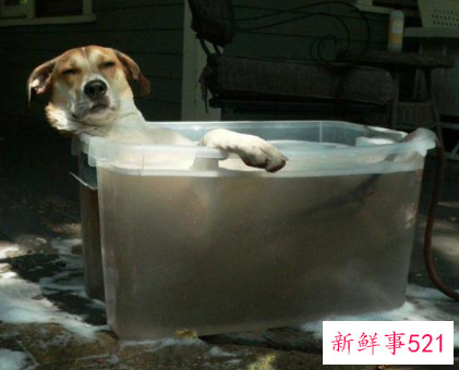 史上最全职业专属放松法