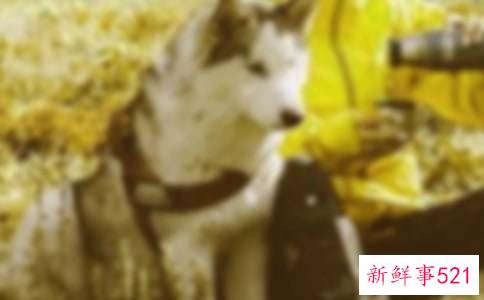 怎样增加不同家品之间的和谐感