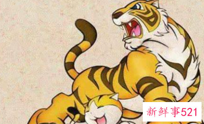 生肖虎结婚避哪些属相