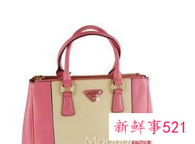 中国名包品牌排行榜