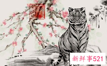 98年属虎桃花劫年龄